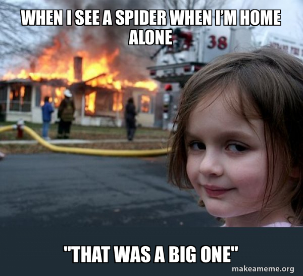 Disaster Girl meme
