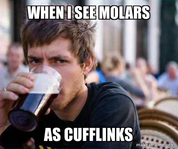 Lazy College Senior meme