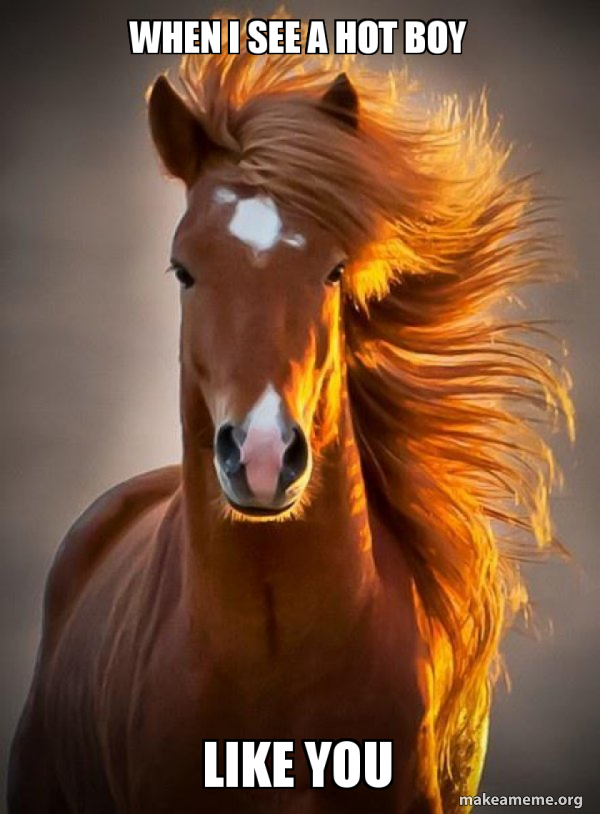 Ridiculously photogenic horse meme