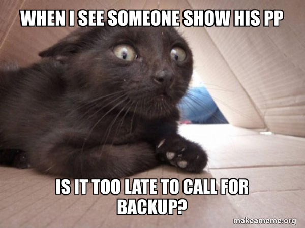 Schitzo Cat meme