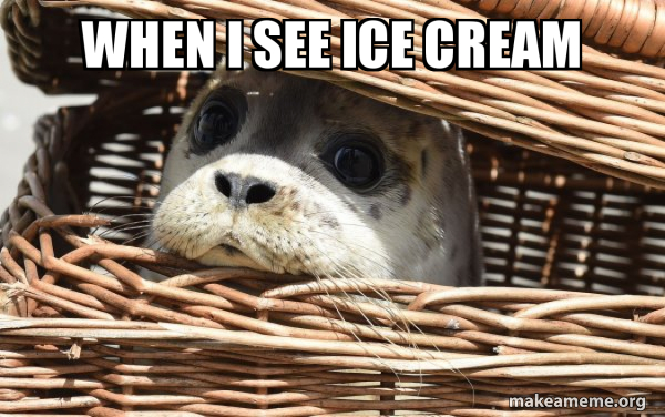 Impending Doom Seal meme