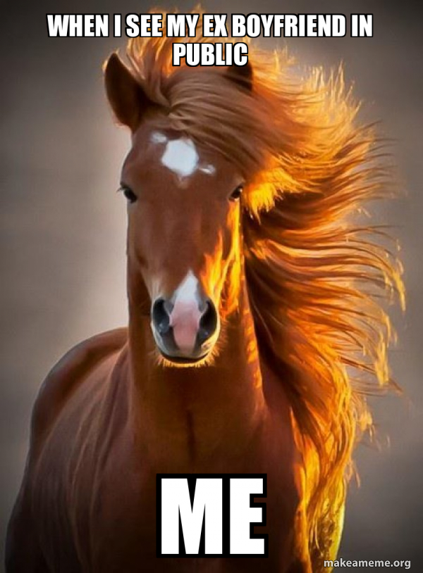 Ridiculously photogenic horse meme