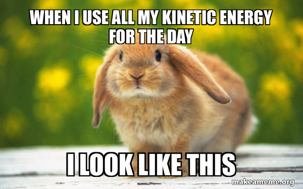 Regretful Rabbit meme