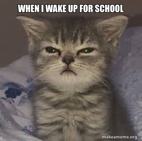 When I wake up for school Meme Generator