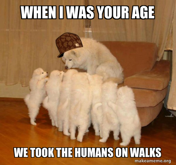 Scumbag Storytelling Dog meme