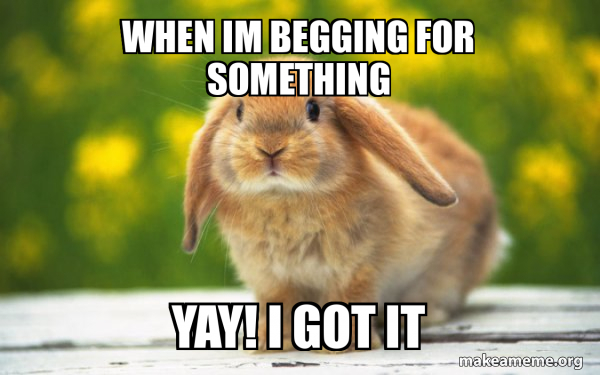 Regretful Rabbit meme