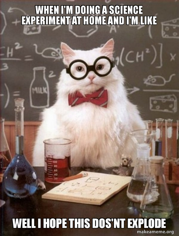 Chemistry Cat meme