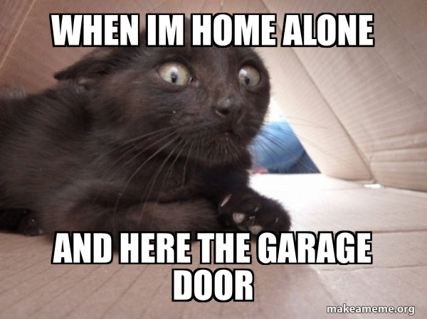 Schitzo Cat meme