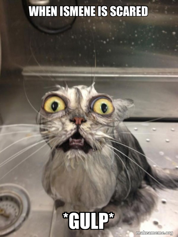 When Ismene is scared *GULP* - Cat bath Meme Generator