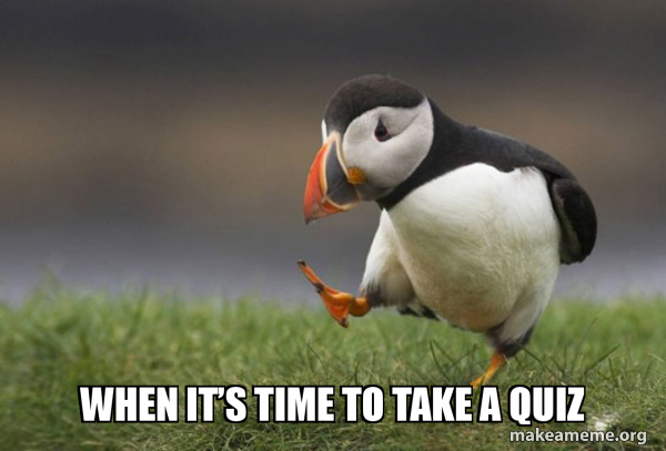 Unpopular Opinion Puffin meme