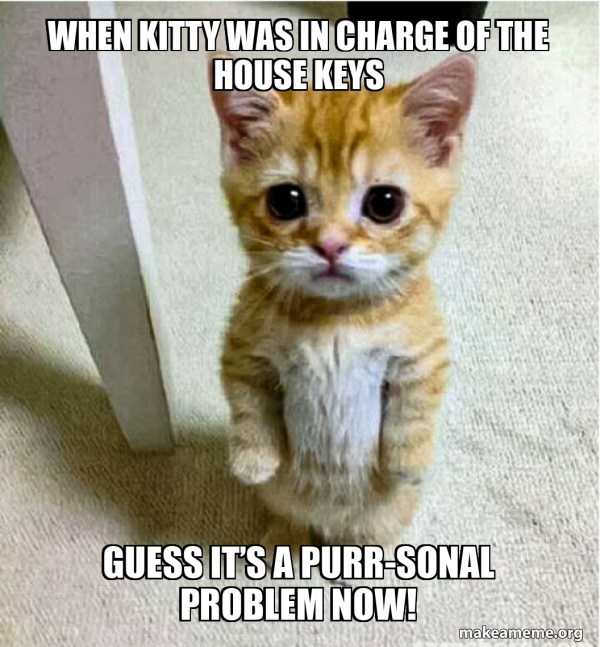 When kitty was in charge of the house keys Guess it’s a purr-sonal