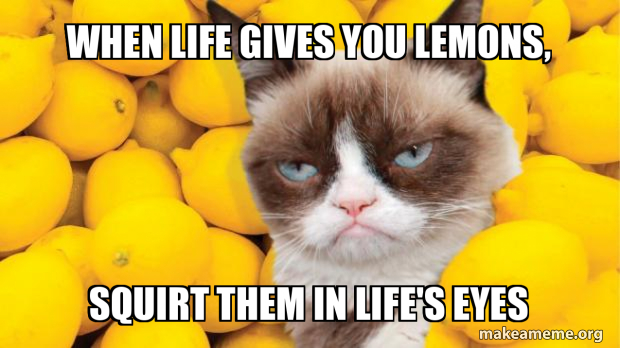When life gives you lemons, Squirt them in life's Eyes Meme Generator