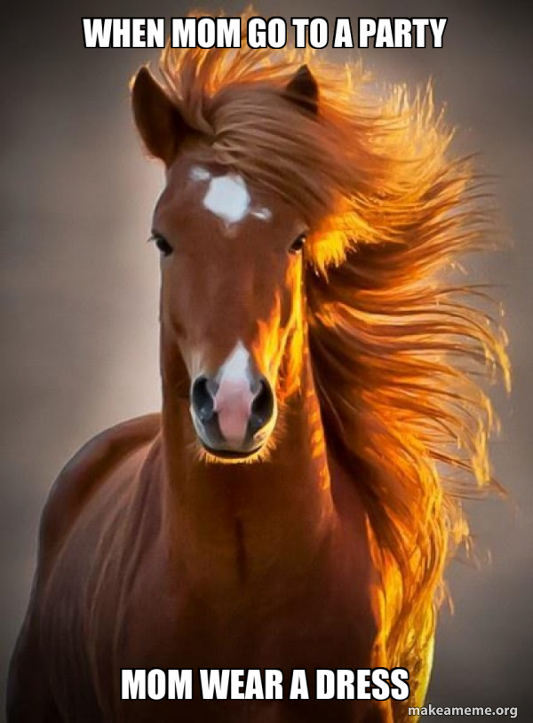 Ridiculously photogenic horse meme