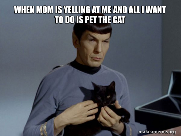 Spock and Cat Meme meme