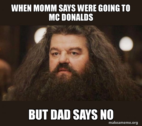 Hagrid - I should not have said that meme