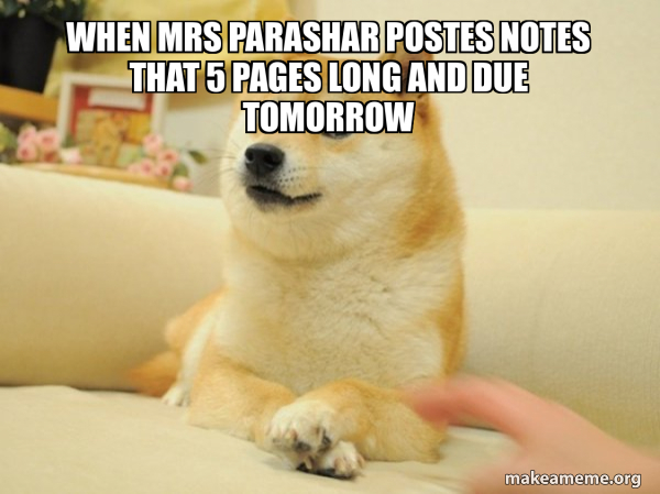 Doge meme