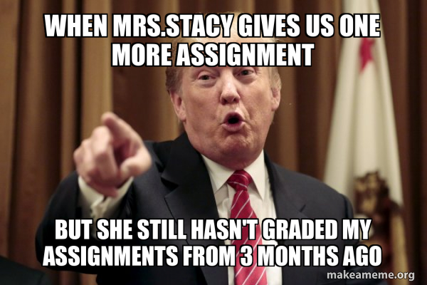 Donald Trump Says meme