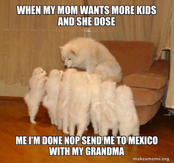 Storytelling Dog meme
