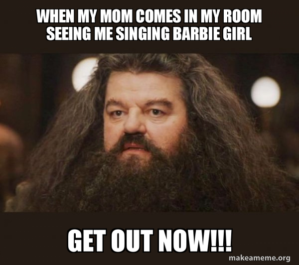 Hagrid - I should not have said that meme