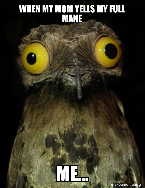 Weird Stuff I do Potoo meme