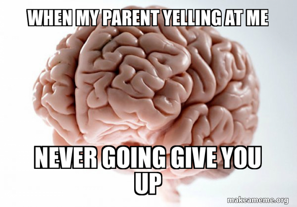 Scumbag Brain meme