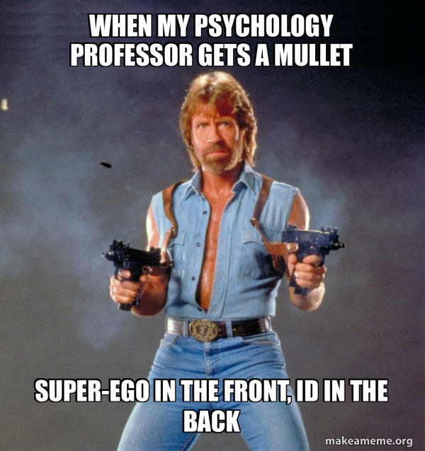 Chuck Norris meme