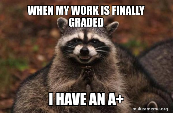 When my work is finally graded I have an A+ - Evil Plotting Raccoon ...