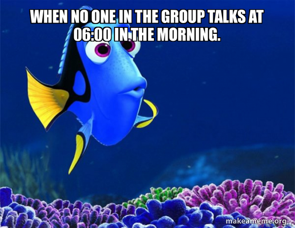 Dory from Nemo  (5 second memory) meme