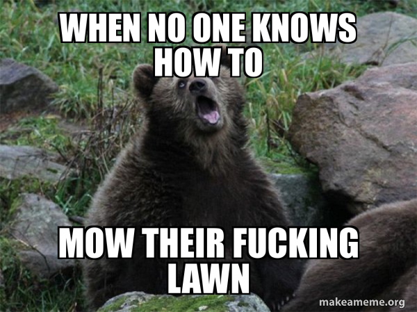 Sarcastic Bear meme