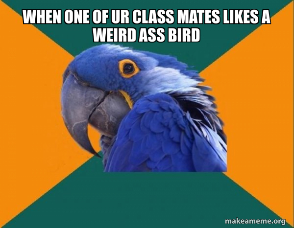 Paranoid Parrot meme