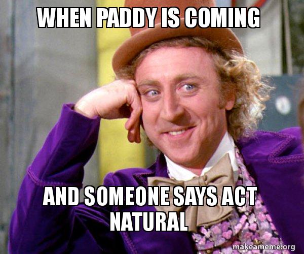 Paddy Meme Paddy Memes I'm Laughing So Hard At The Ways People Are Using This