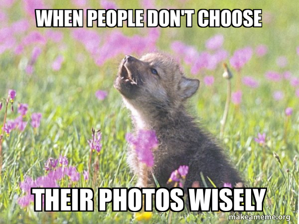 Baby Insanity Wolf meme