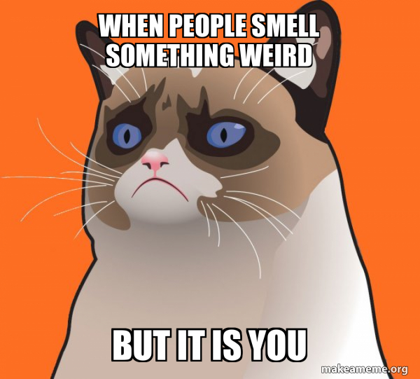 when people smell something weird but it is you Cartoon Grumpy Cat