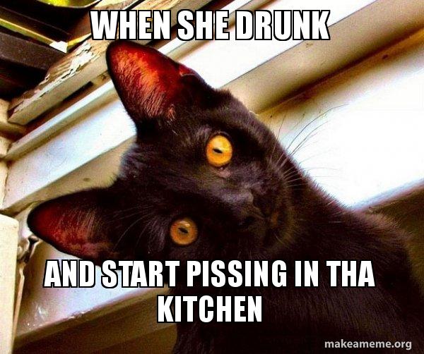 When she drunk And start pissing in tha kitchen Overly Attached Cat