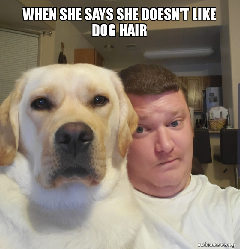 When She Says She Doesn T Like Dog Hair Make A Meme