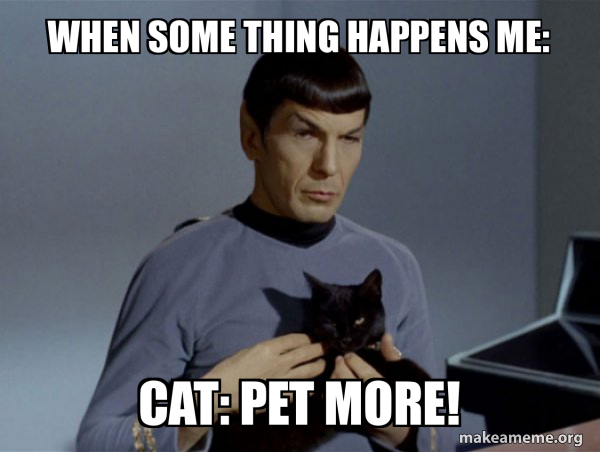 Spock and Cat Meme meme