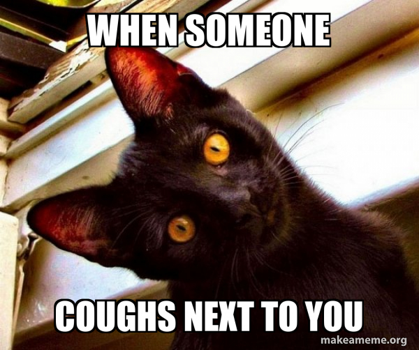 When someone coughs next to you Overly Attached Cat Meme Generator