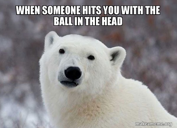 Popular Opinion Polar Bear meme