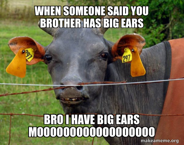 Hairless Cow meme