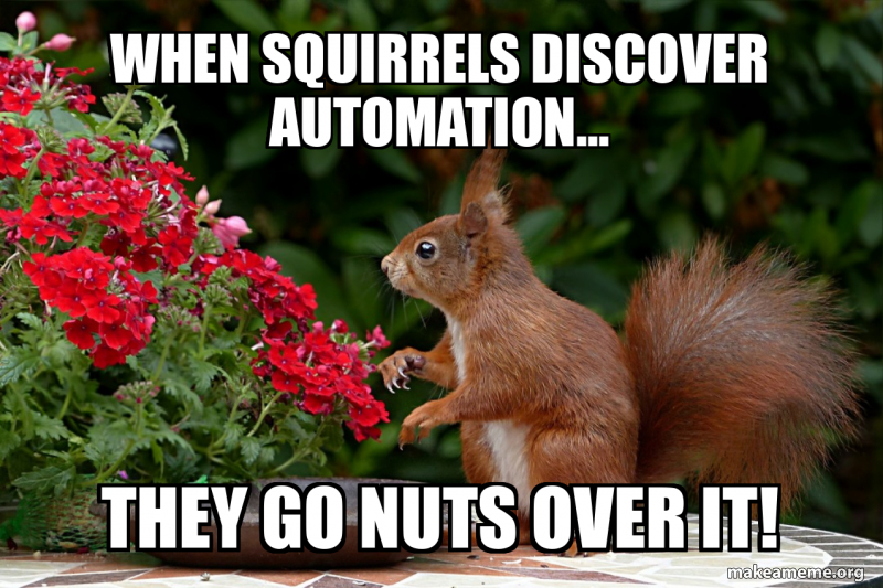 WHEN SQUIRRELS DISCOVER AUTOMATION... THEY GO NUTS OVER IT! Meme Generator