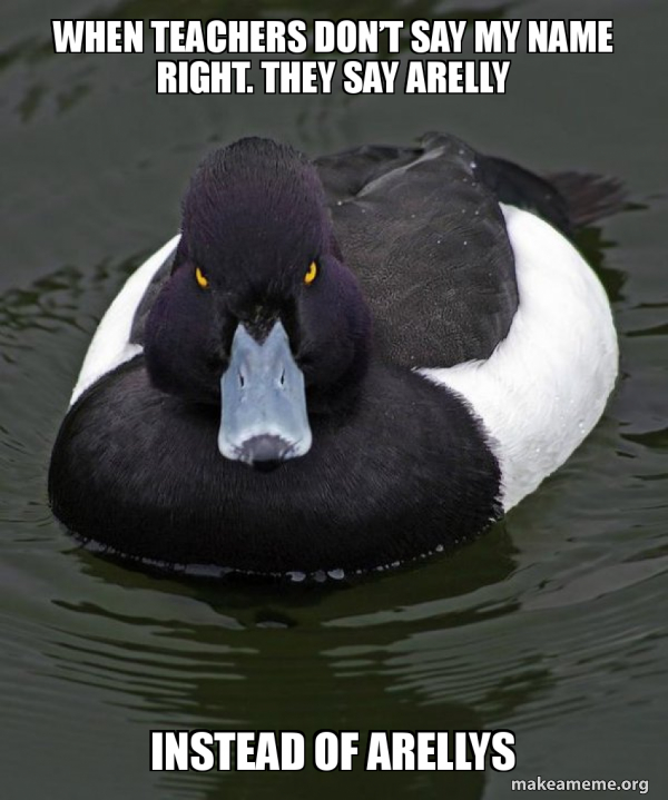 Revenge Duck ( Angry Advice Duck ) meme