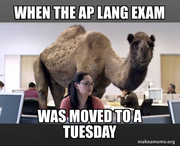 Hump Day Camel meme