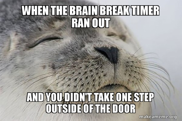 When The Brain Break Timer Ran Out And You Didn T Take One Step Outside Of The Door Satisfied Seal Make A Meme