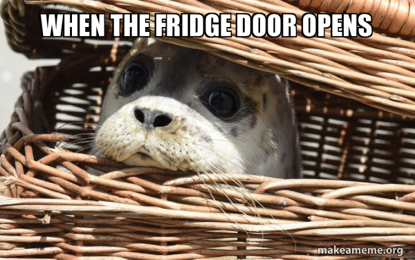 when the fridge door opens - Impending Doom Seal | Make a Meme