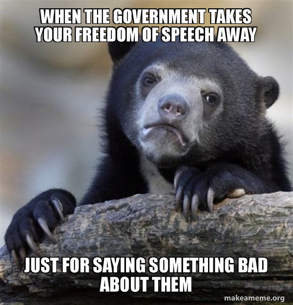 Confession Bear meme