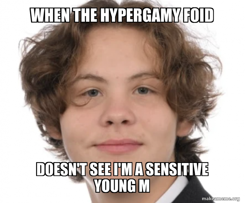 Hypergamy Meme Ranks WHEN THE HYPERGAMY FOID DOESN'T SEE I'M A SENSITIVE YOUNG M Meme Generator