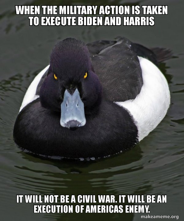 Revenge Duck ( Angry Advice Duck ) meme