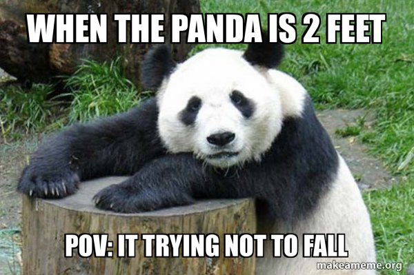 Confession Panda meme