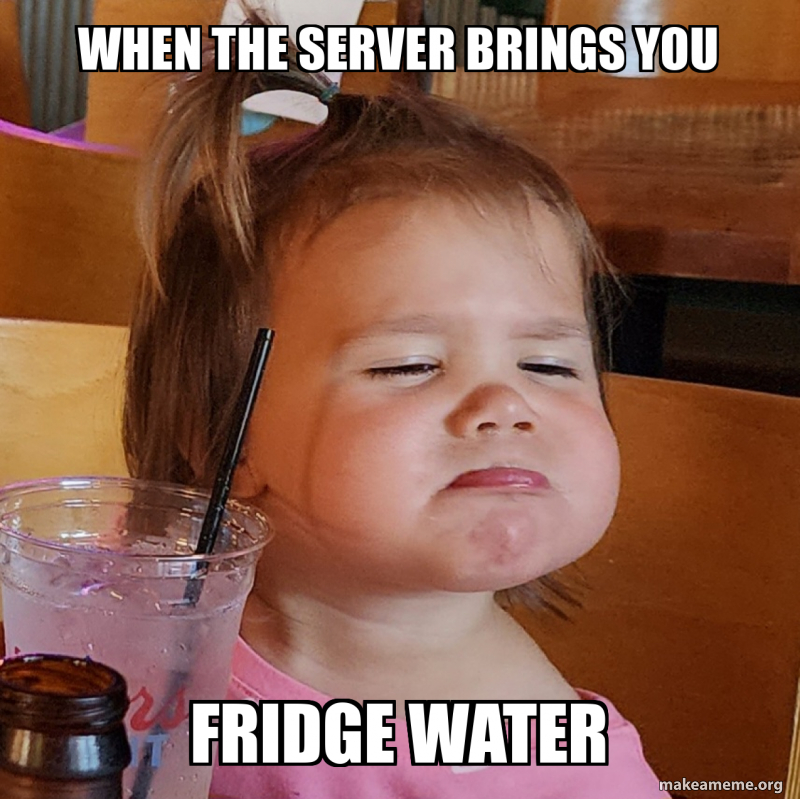 Server Meeme WHEN THE SERVER brings you Fridge water Meme Generator