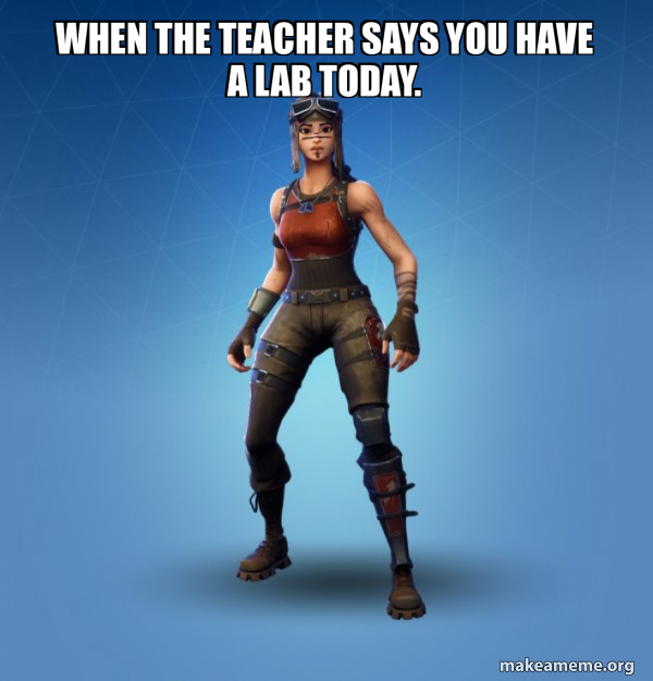 Renegade Raider Fortnite Skin meme